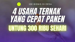 4 USAHA TERNAK YANG CEPAT PANEN UNTUNG 300 RIBU SEHARI YANG MENJANJIKAN! Peluang Usaha Peternakan