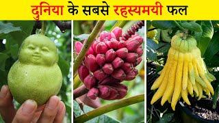 इतने bizarre Fruits  आपने पहले नही देखे होंगे | World’s Most Bizarre Looking Fruits