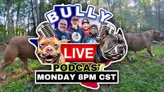 American Bully PODCAST: Does Your Bully Pull From The Front Or Push Off It’s Back Legs When The Gait