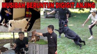 MUSIBAH BERUNTUN DIGIGIT ANJING - BAGAIMANA MENGHINDARINYA ?