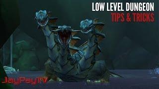 Helpful WoW Low-Level Dungeon Tips