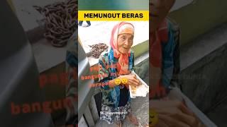 NENEK MEMUNGUT NASI