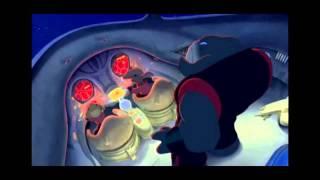 Lilo & Stitch- Stitch escaping scene