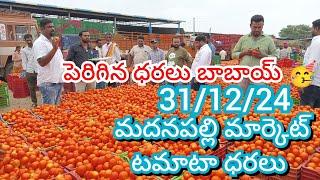 31/12/24 Madanapalle Tomato Market Price Today || Today Tomato Market Rate In Madanapalle #today