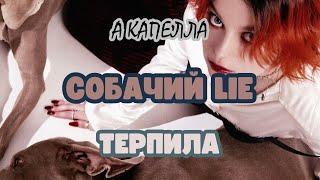 СОБАЧИЙ LIE - ТЕРПИЛА | А КАПЕЛЛА