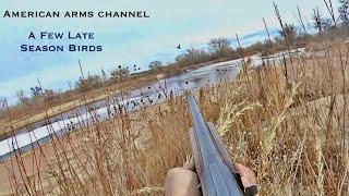 Just a Few More Birds - Late Season Duck Hunting on the South Platte River