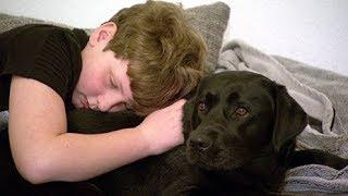 Autist Luca und sein Therapiehund sind unzertrennlich | SWR | Landesschau Rheinland-Pfalz