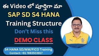 SAP SD S4 HANA Demo Class by Veera | SAP SD in Telugu | SAP SD Training by Veera BS