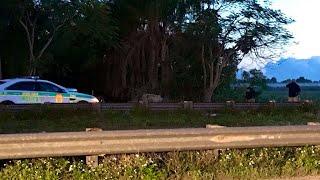 Reporter Update: Karli Barnett On Body Found In SW Miami-Dade