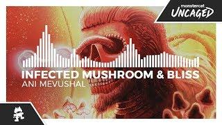 Infected Mushroom & Bliss - Ani Mevushal [Monstercat Release]