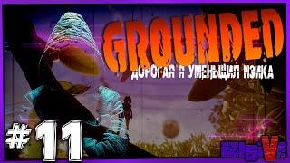  Grounded  ▶ Выживание в миниатюре ▶ [СТРИМ] #11
