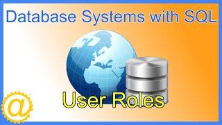 Database Systems - User Roles