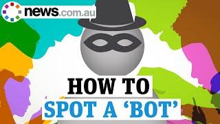 Spot a Bot: Identifying misinformation online