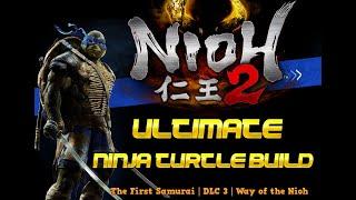 The Ultimate Ninja Turtle Build | Nioh 2 The First Samurai DLC Guide (DotN)