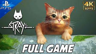 STRAY FULL GAME Walkthrough (PS5) No Commentary Gameplay @ 4K 60ᶠᵖˢ 