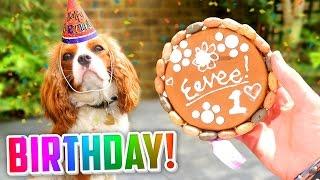  EEVEE'S 1st BIRTHDAY! ( Presents,  Cake +  MORE!)