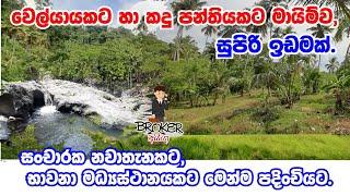 Land For Sale in Srilanka/Land For Sale in Dodamgaslanda/Land For Sale in kurunegala/Property sale