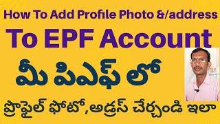 How to Upload Profile Photo In EPF Account Telugu | How To Add Address In EPF Account Online