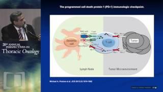 Targeting the immune system with checkpoint inhibitors