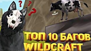 ТОП 10 БАГОВ ИЗ WildCraft, КОТОРЫЕ НЕ ИСПРАВИЛИ