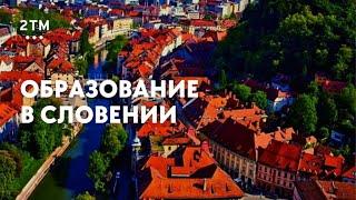 Образование в Словении. Преимущества, условия поступления, учебные программы.