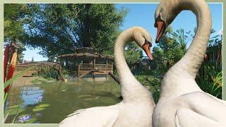 Mute Swan Habitat! | River Rock Zoo Remodel | Planet Zoo Speed Build