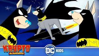 Krypto The Superdog | The Best Of Bat Hound | @dckids