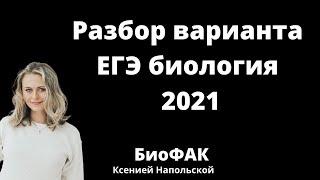 Разбор варианта ЕГЭ 2021 | БИОЛОГИЯ