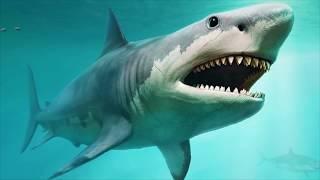 5 Lawan Mematikan Monster Megalodon