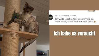 Das geht noch besser #katzenaufyoutube #katze #katzen #miau #bengalkatze #katzenvideos