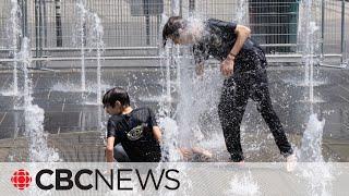 Mortalities spike in prolonged heat waves. Here’s how to better protect yourself