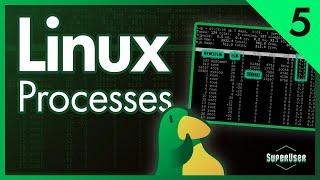 Linux for Programmers #5 | Processes top & htop