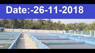 Biofloc fish farming in #Bangladesh