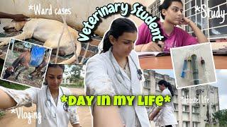 Day in life of a Veterinary Student🩺| Veterinary College | Vlog #vet #veterinary #dayinmylife #vlog