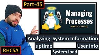 Process Management: Analyzing  System Load, Users, Uptime, and Resources in Red Hat 9 #rhcsa #rhel9