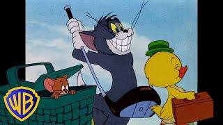 Tom und Jerry auf Deutsch  | Der Frühling liegt in der Luft!  | @WBKidsDeutschland​