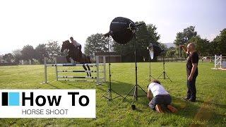 broncolor 'How To' shoot a horse portrait!