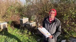 Live von Pias Bienenstand - 30.11.2024