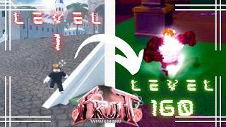 SPEEDRUNNING LVL 1 to LVL 160 WITH TS RUBBER!!! [FRUIT BATTLEGROUNDS]