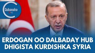 Erdogan oo dalbaday hub dhigista Kurdiyiinta Suuriya | Qubanaha VOA