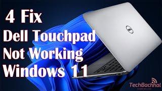 Dell Touchpad Not Working Windows 11 - 4 Fix