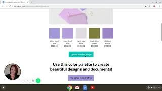 Color palette generator   Canva Colors