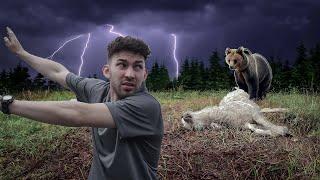 "GOATS STRUCK BY LIGHTNING ABDUCTED BY BROWN BEARS! WE FINALLY CAPTURED THE FOOTAGE!"