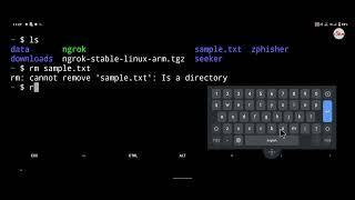 rm: cannot remove 'sample.txt': Is a directory