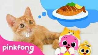 Oh, Baby Cat says meow | Baby Animals Songs | Kitten Song | Pinkfong for Kids