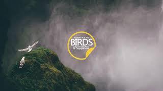 Sad Cinematic Piano Music III Moza Space - No Copyright Music III Waiting For The Birds