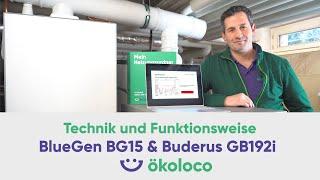 Technik und Funktionsweise: BlueGEN BG-15 – Brennstoffzelle von SOLIDpower | ökoloco