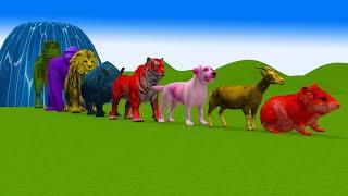 Paint & Animals Sheep,Dog,Lion,Gorilla,Tiger,Cow,Hamsters Fountain Crossing Transformation Animals