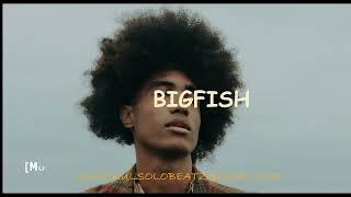 'BIGFISH'   Gyration x Highlife Instrumentals x Afro highlife beat Hyce Ft BoyPee and Brown Joel