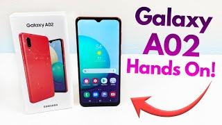 Samsung Galaxy A02 - Hands On & First Impressions!